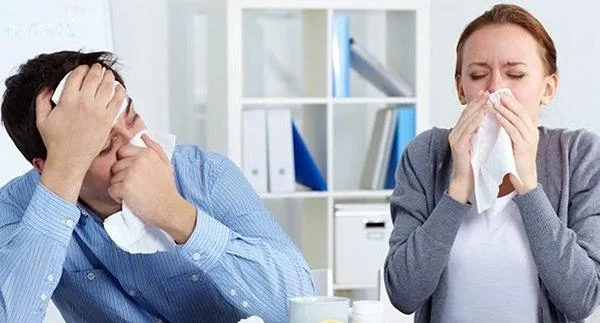 Bạn có đang hít thở không khí ô nhiễm trong chính văn phòng của  mình?
