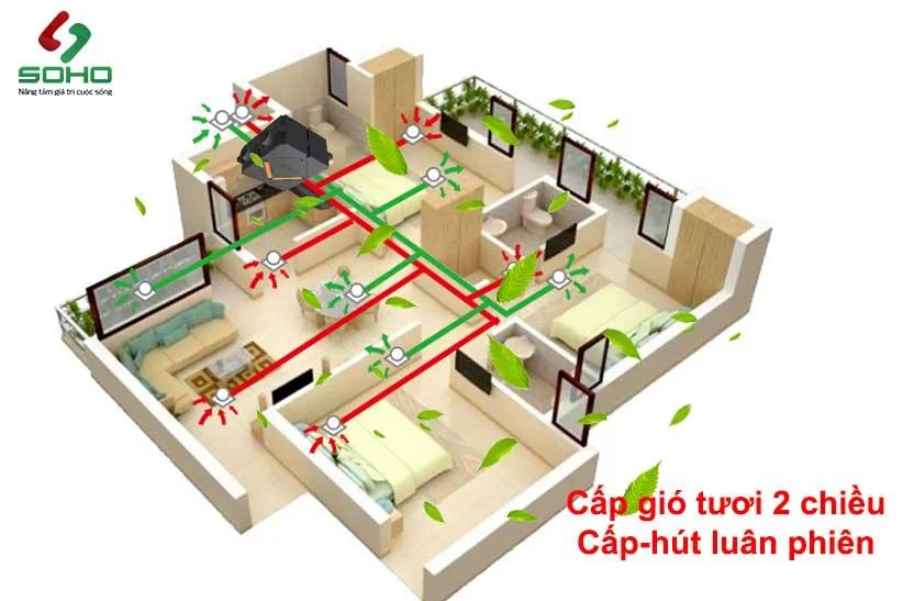 Bạn có đang hít thở không khí ô nhiễm trong chính văn phòng của  mình?