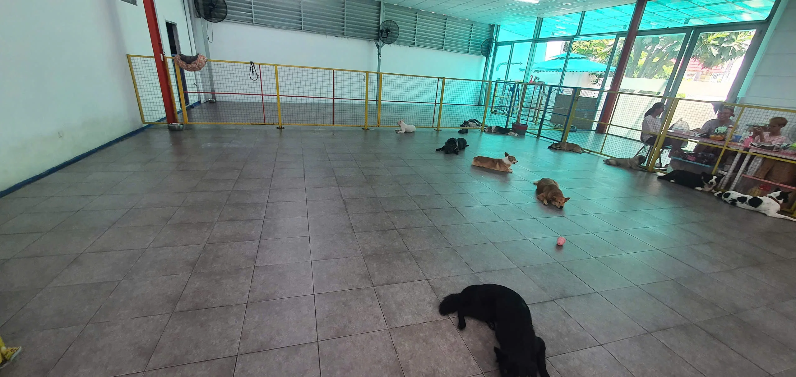 Điện máy ELC hoàn thành hệ thống điều hòa không khí và cấp gió tươi thu hồi nhiệt Menred Hagisu cho cơ sở huấn luyện, trông giữ thú cưng tại Thảo Điền, Quận 2