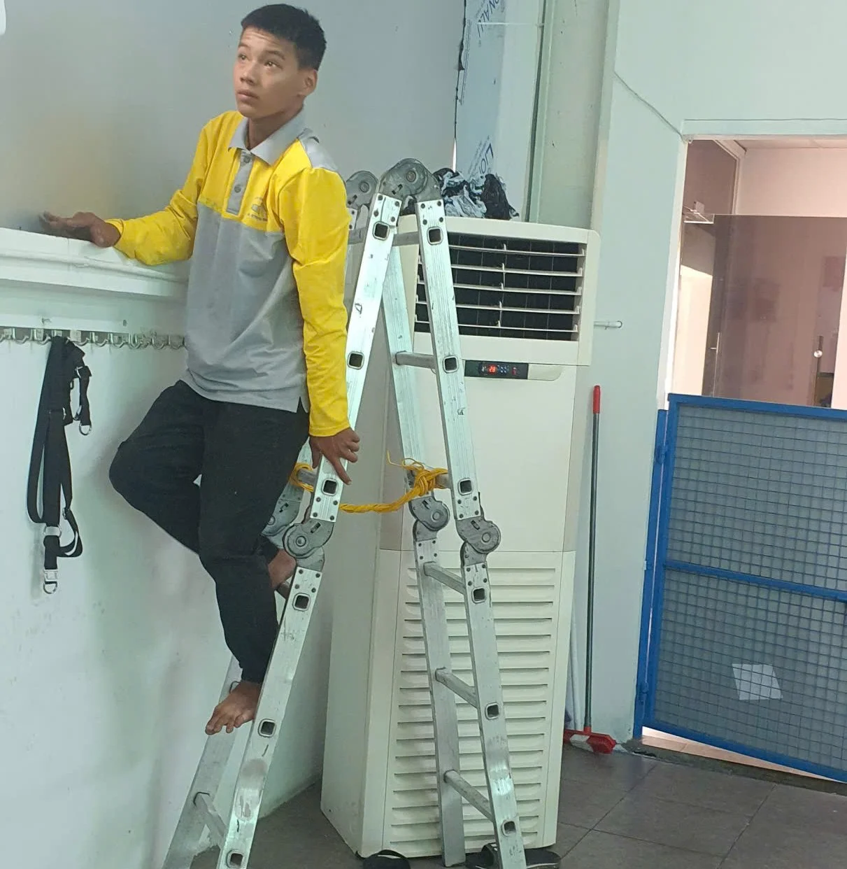 Điện máy ELC hoàn thành hệ thống điều hòa không khí và cấp gió tươi thu hồi nhiệt Menred Hagisu cho cơ sở huấn luyện, trông giữ thú cưng tại Thảo Điền, Quận 2