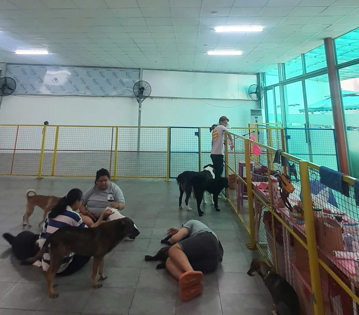Điện máy ELC hoàn thành hệ thống điều hòa không khí và cấp gió tươi thu hồi nhiệt Menred Hagisu cho cơ sở huấn luyện, trông giữ thú cưng tại Thảo Điền, Quận 2